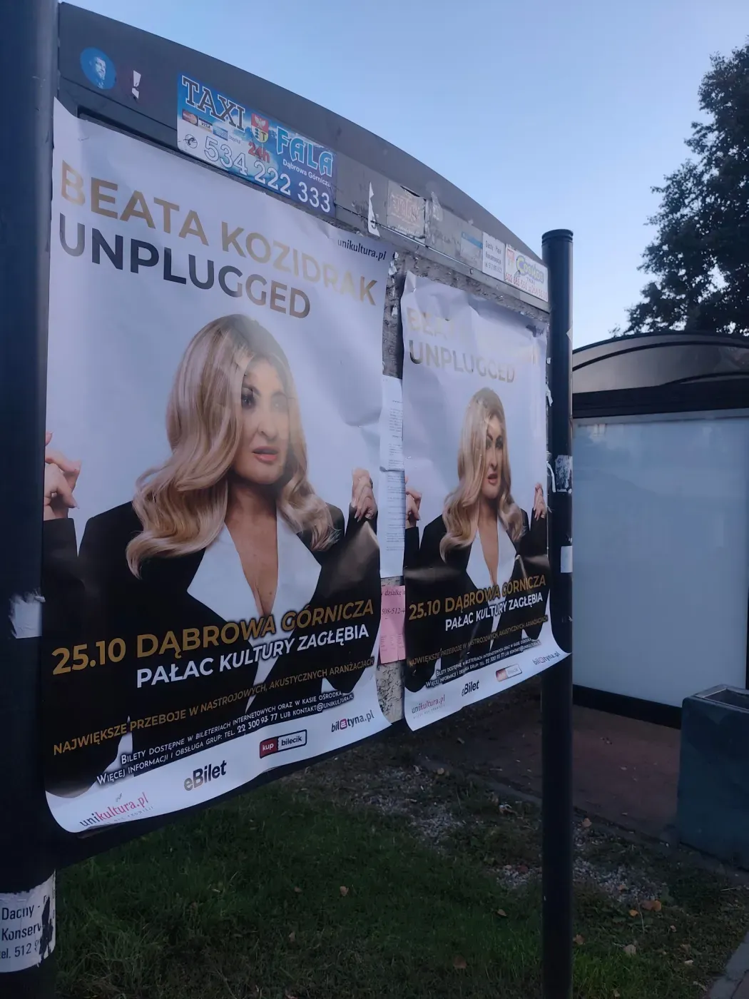 Plakaty Beata Kozidrak Unplugged na tablicy obok przystanku