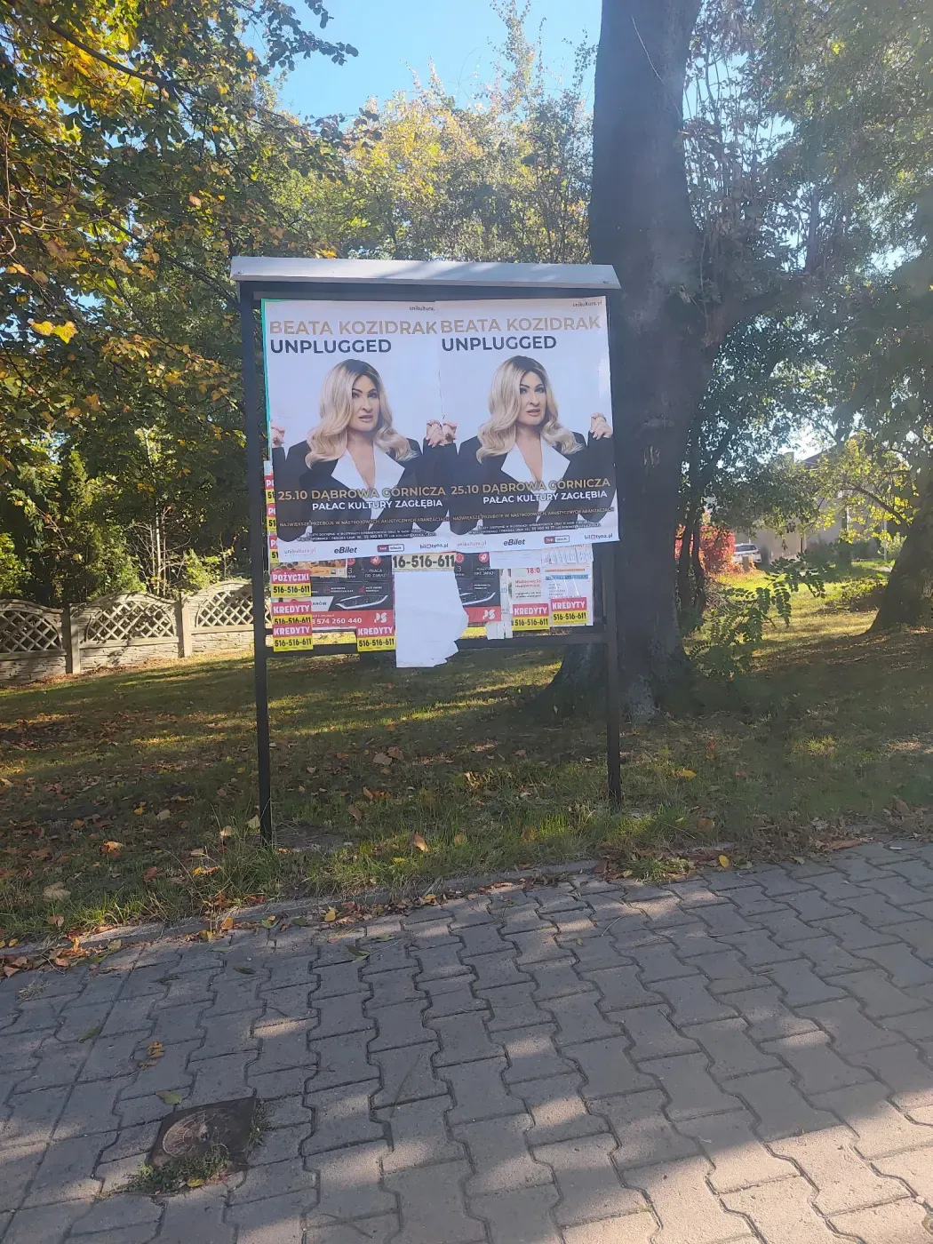 Plakaty Beata Kozidrak Unplugged na tablicy ogłoszeniowej przy zieleni