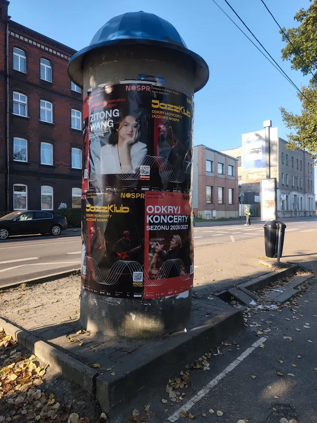 Plakatowanie w Katowicach: Zitong Wang