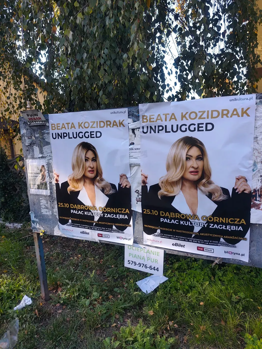 Dwa plakaty Beata Kozidrak Unplugged na tablicy pod drzewami